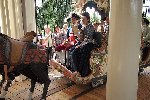 Galerie KarusellfestP7230019.jpg anzeigen.