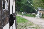 Galerie HZ5U8937.jpg anzeigen.